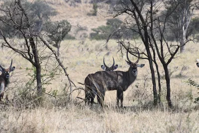 DSC_3666 (Large).JPG